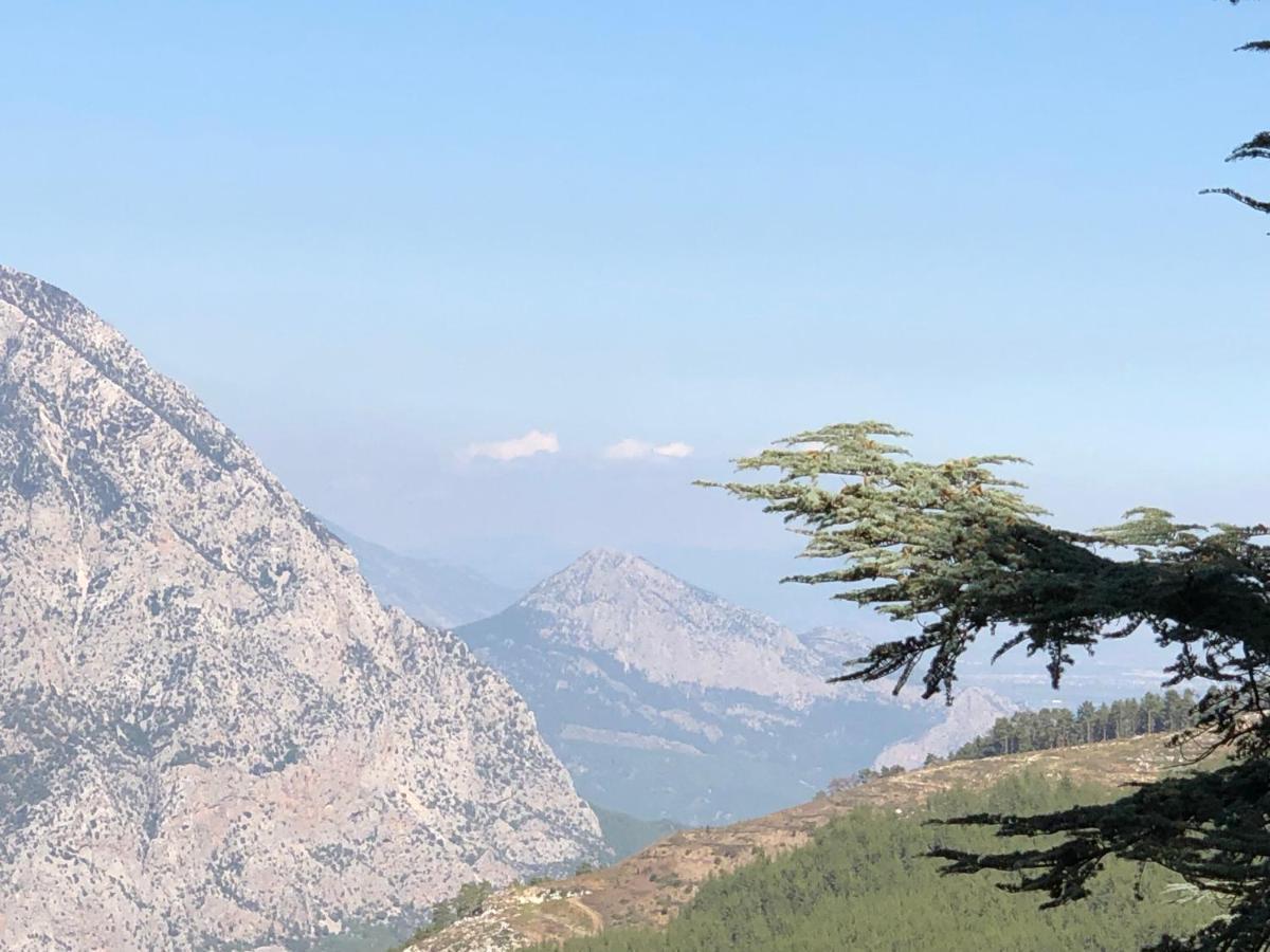 فيلا Yenivadi أنطاليا المظهر الخارجي الصورة